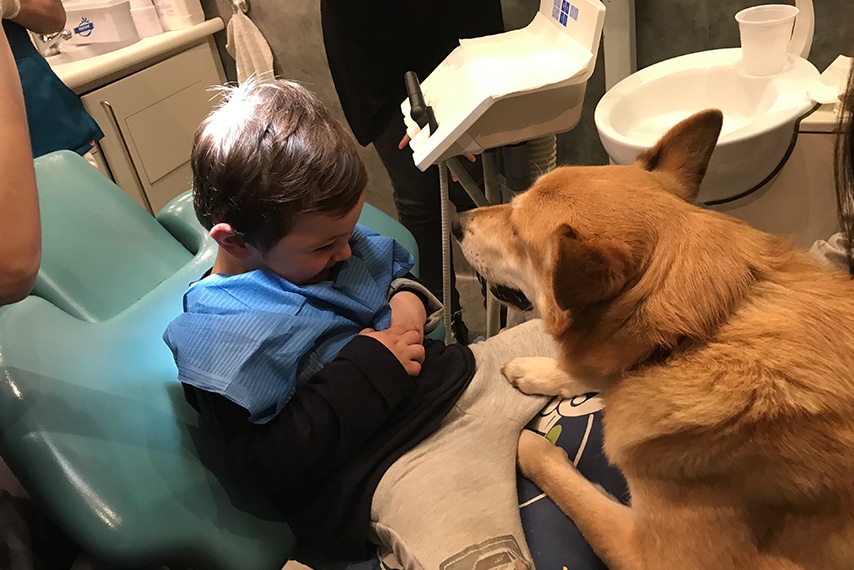 perros para superar el miedo al dentista en niños